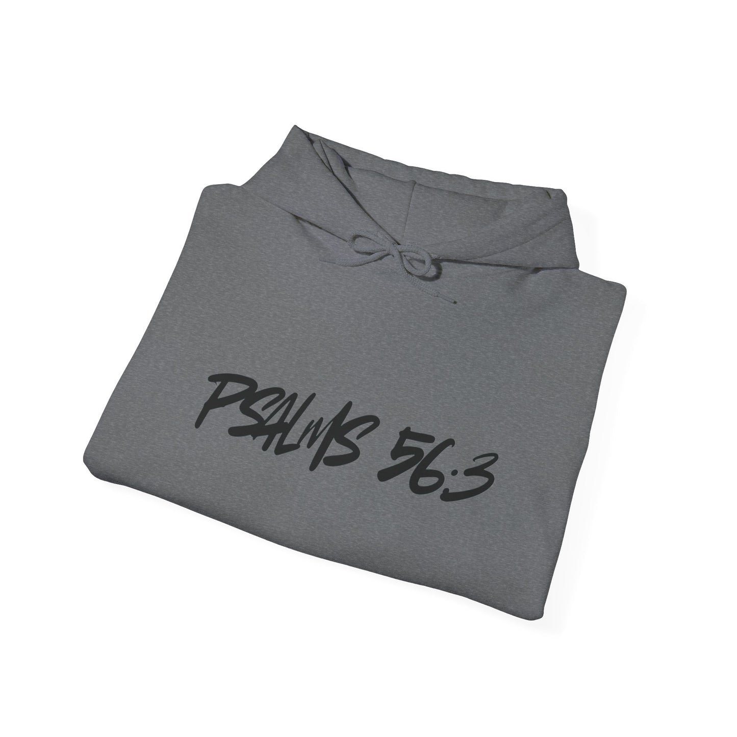 Christian Psalm 56:3 Hoodie