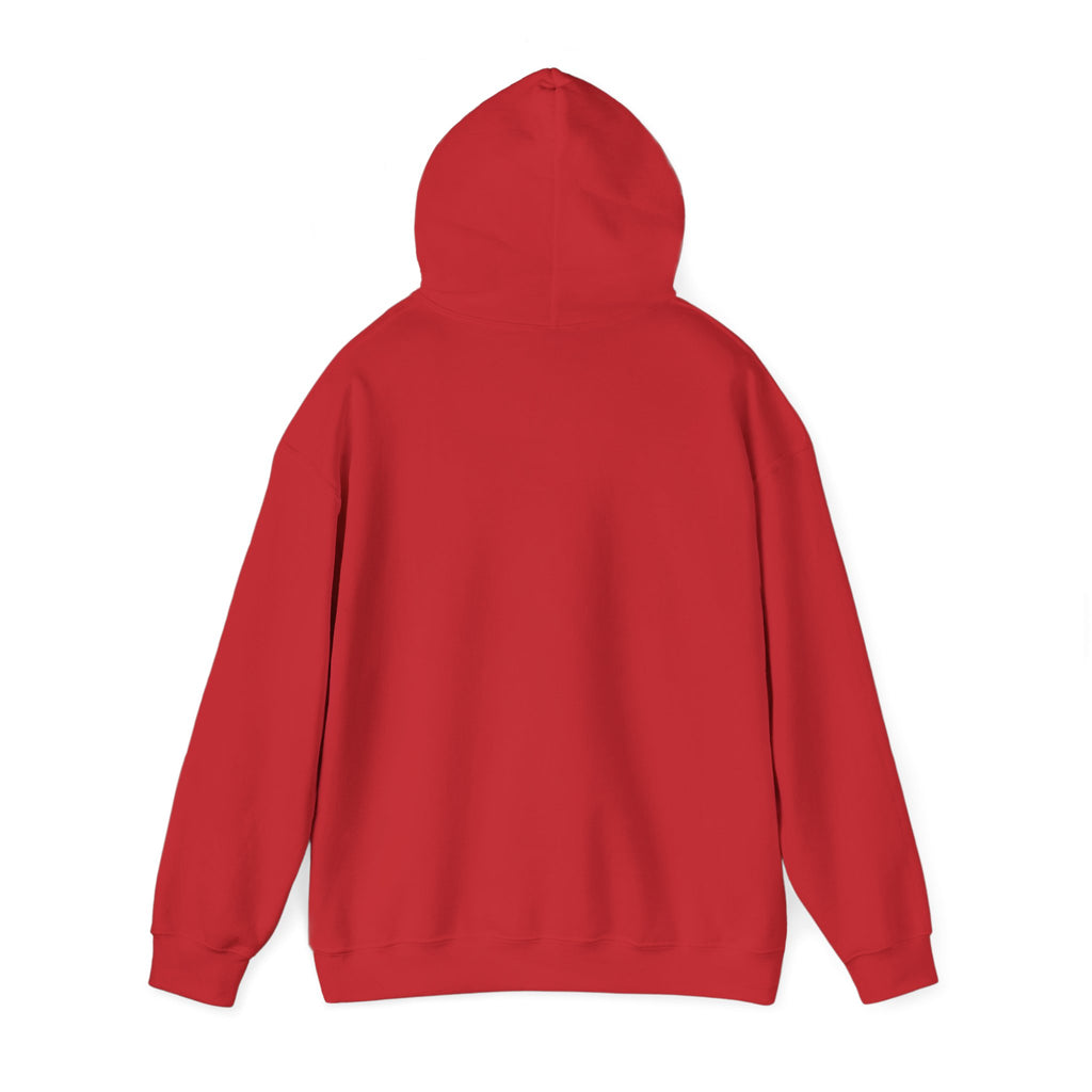 "It's Never Luck, It's Always God"- Unisex Hoodie