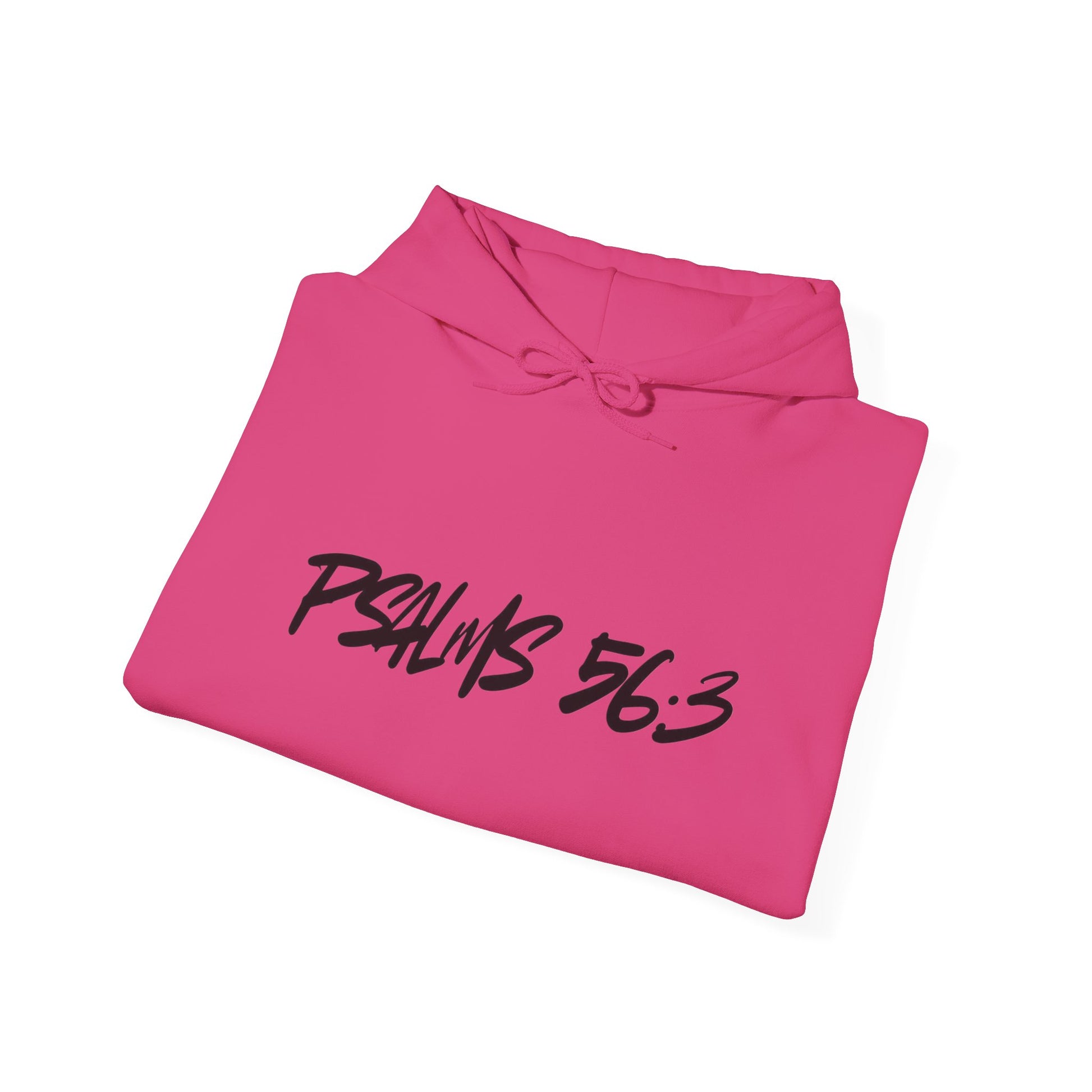 Christian Psalm 56:3 Hoodie