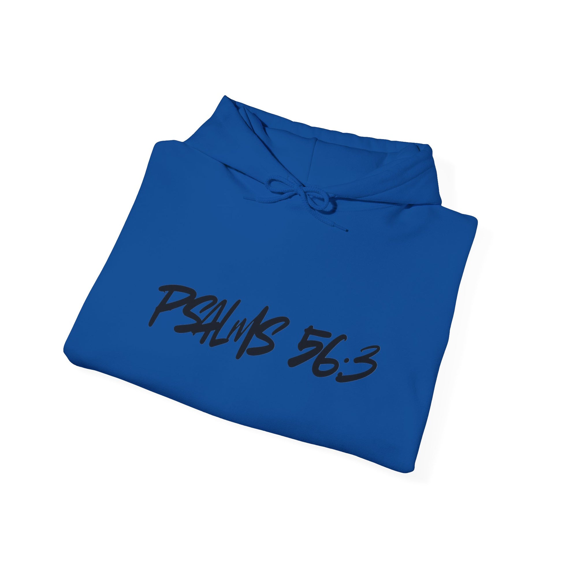 Christian Psalm 56:3 Hoodie