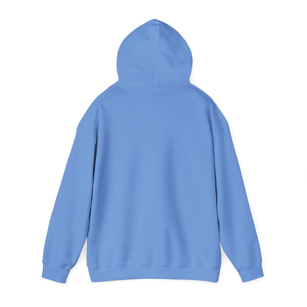 "It's Never Luck, It's Always God"- Unisex Hoodie