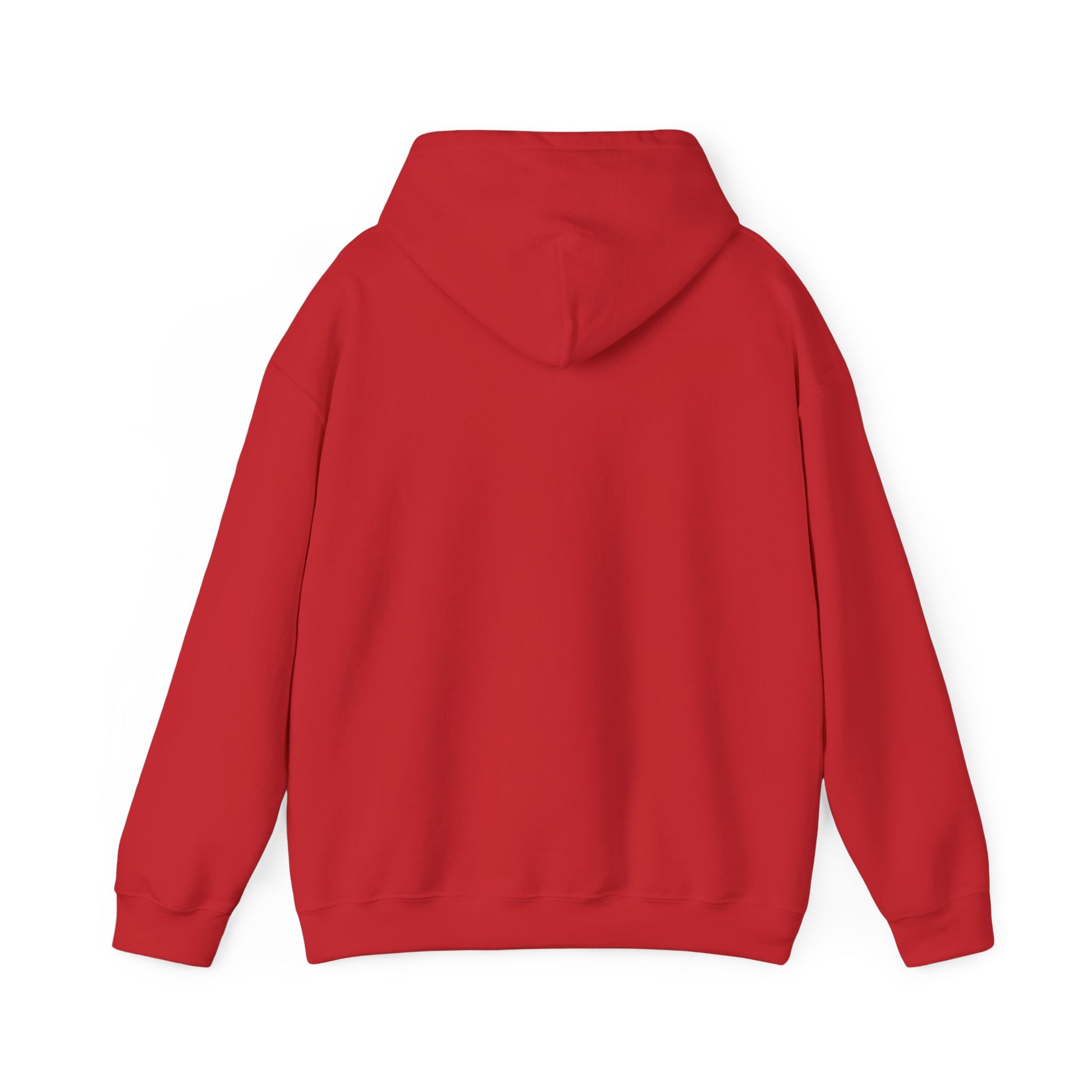 "It's Never Luck, It's Always God"- Unisex Hoodie