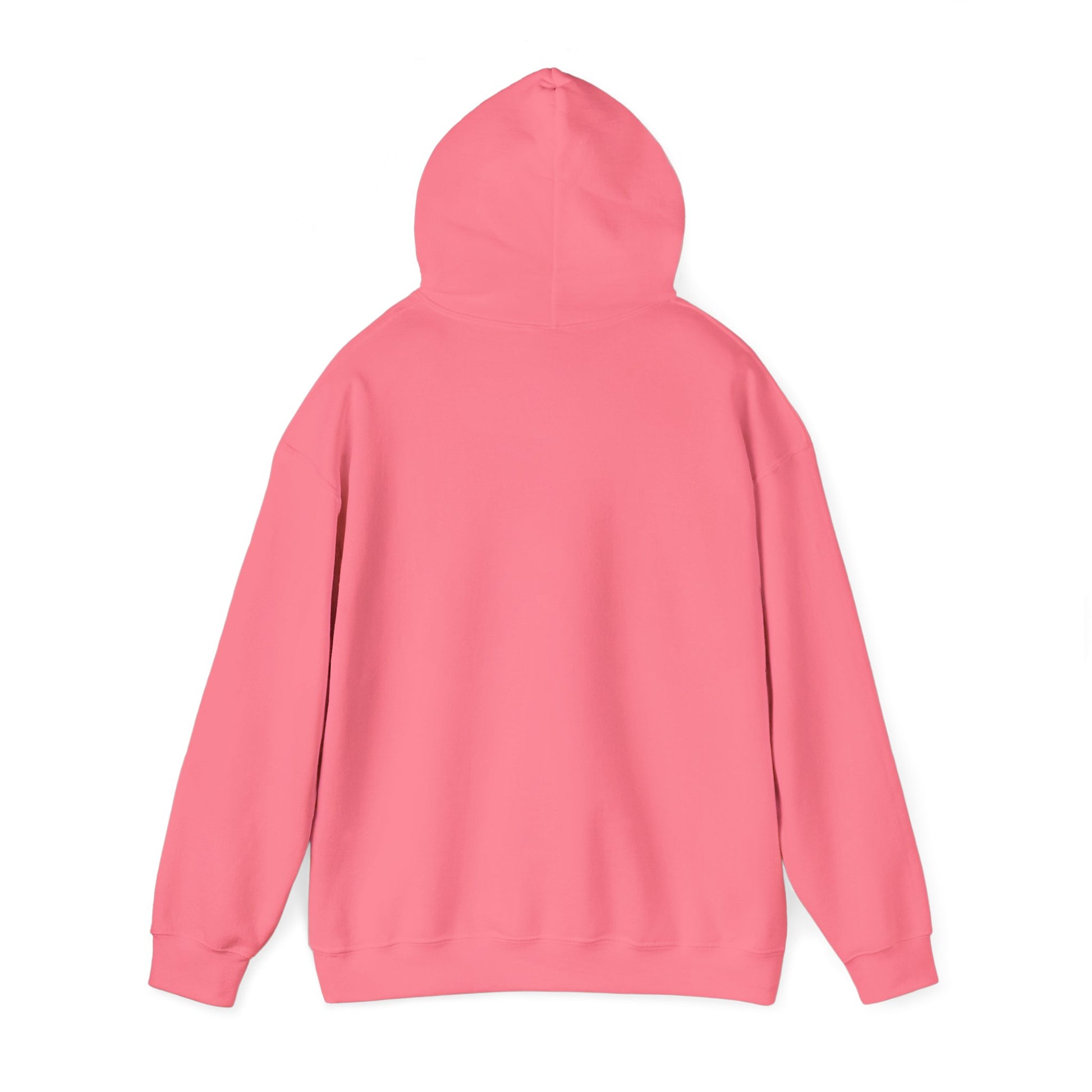 'No More Distractions" Unisex Hoodie